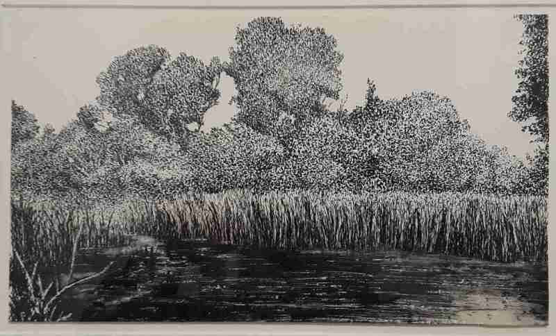 the reeds by david john
