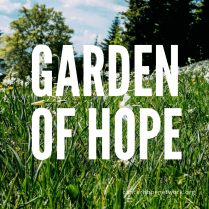 garden of hope cubes