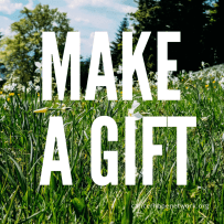GOH make a gift cube